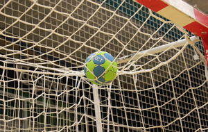 Voeux et Reprise du Handball