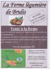la ferme légumière de Brulis